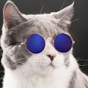 Meet your Posher, Stephannie